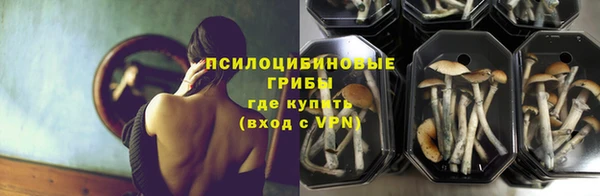 тгк Алексеевка