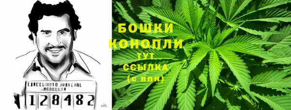 2c-b Алзамай