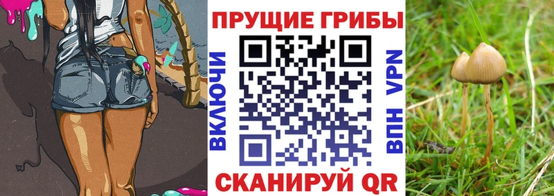 Галлюциногенные грибы Magic Shrooms  Асбест 